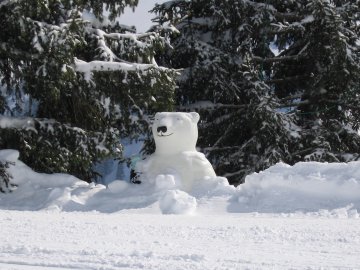 Pl�tzlich taucht ein Eisb�r auf!