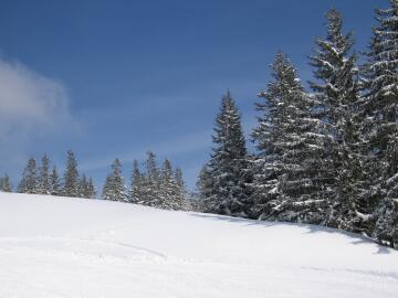 kitz2006_022.jpg, 15 KB