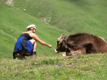 IMG_0092.gif, 157 KB