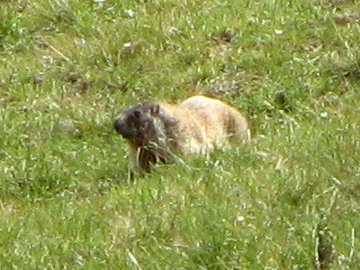 IMG_0112a.JPG, 44 KB