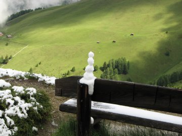 Schneem&auml;nnchen?