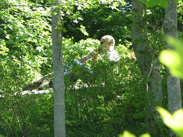 Versteckter Diggeridoo-Spieler