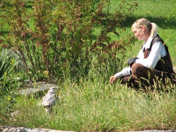 Und f&uumlml;r die M&auml;nner (die auf Frauen stehn) eine nette Assistentin