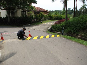 Biene Maya Schwellen